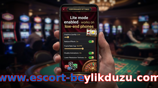Payment and PKR controls in Www.escort-beylikduzu.com