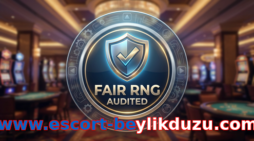 Payment and PKR controls in Www.escort-beylikduzu.com