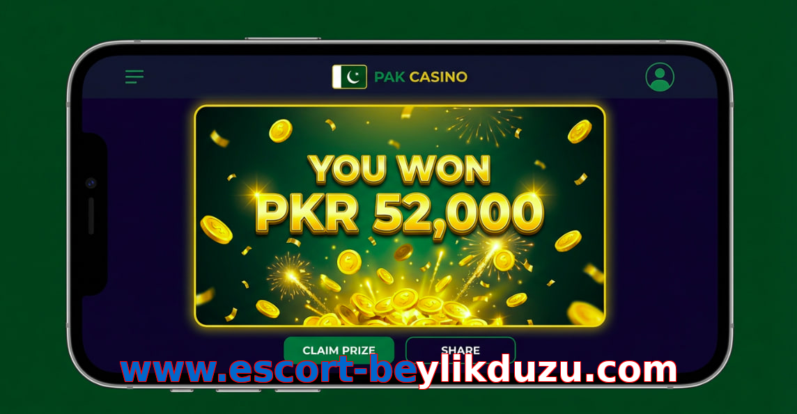 Payment and PKR controls in Www.escort-beylikduzu.com